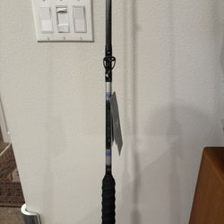 Daiwa Proteus EX 15-30 8’ PRTEX80MHFB