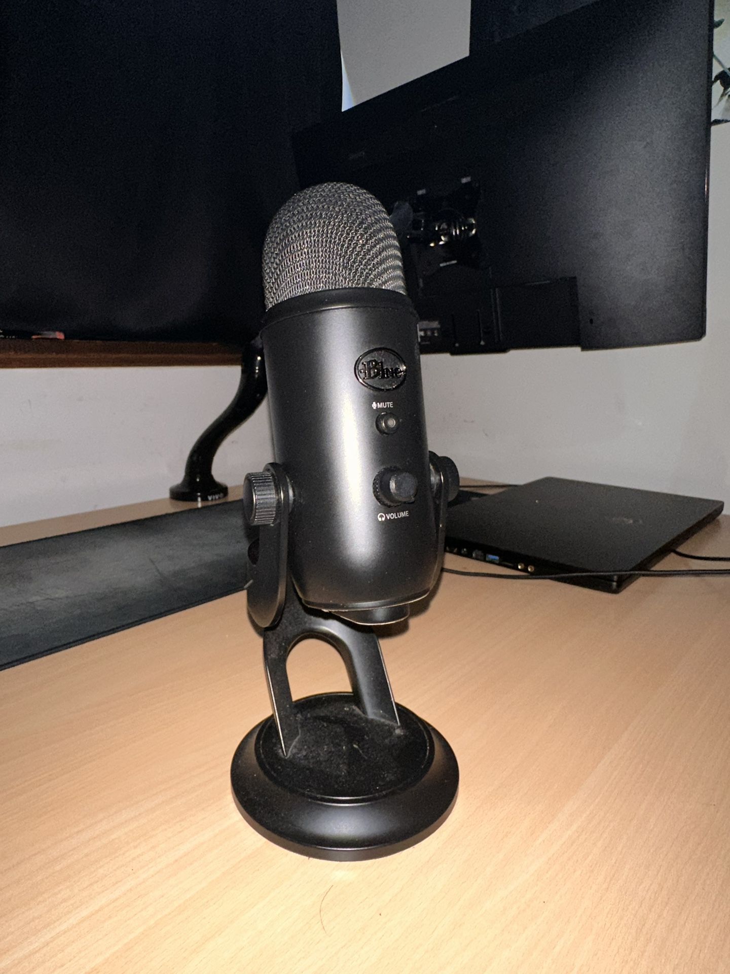 Blue yeti microphone
