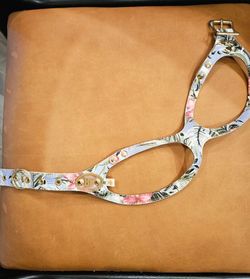Buddy Belt Dog Harness - Size 5