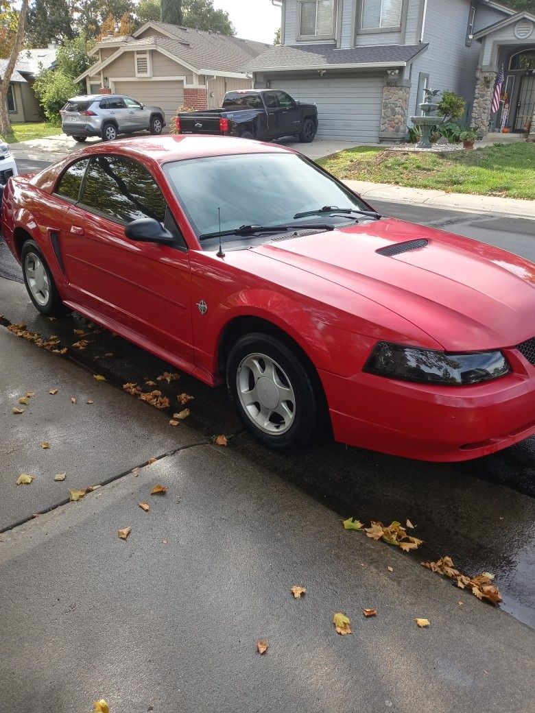1999 Ford Mustang