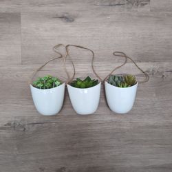 Hanging Vases With Fake Succulents