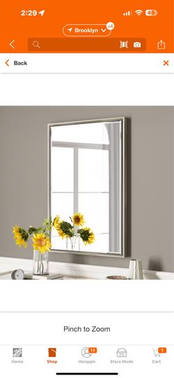 New in box OnaBella 24 in. W x 36in. H Rectangular Aluminum Thin Framed Wall Mount Beveled Bathroom Vanity Mirror in Brushed Nickel, TMFMB2436BN
