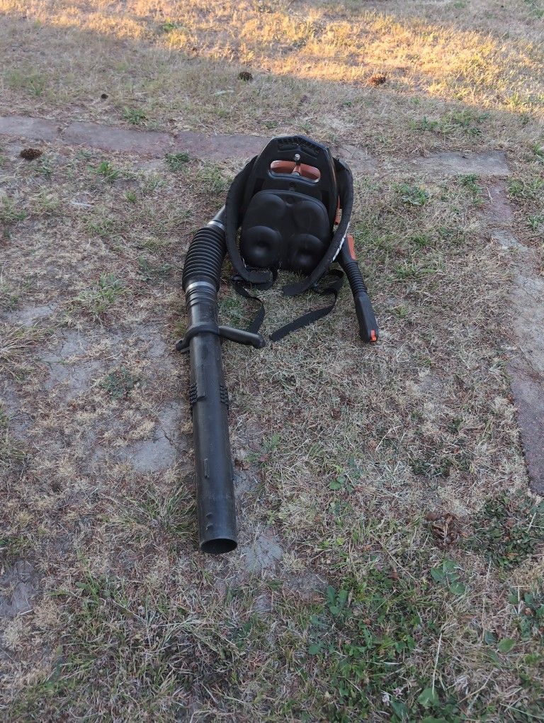 Echo Leaf Blower