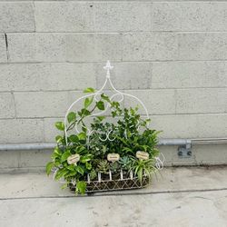 Vintage White Wrought Iron Wall Planter