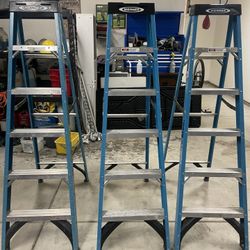 Werner Ladder Advanced Performance 