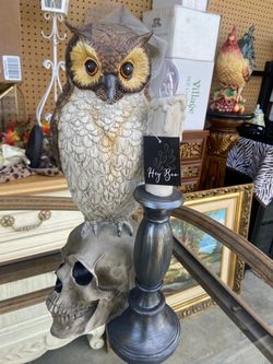 Hey Boo Owl Skull Halloween Figurine with Candle