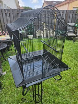cage jaula