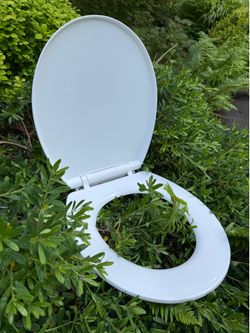 FREE new toilet seat for when nature calls