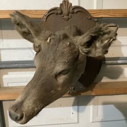 Handcrafted deer head specimen. (Sold as is)