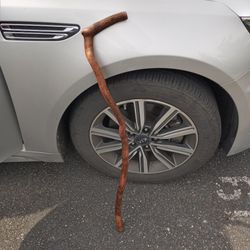 Walking Stick