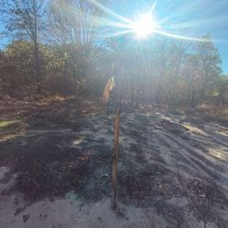80 Acres For Hunting Available