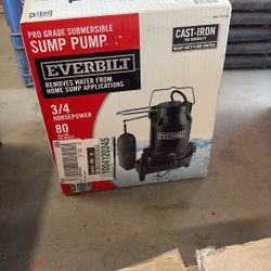 Sump Pump Ever Built Three-Quarter Horsepower 80 Gallons Per Minute