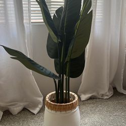 Medium-sized fake plant