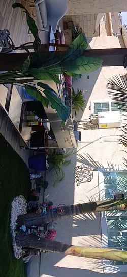 Plancha/catering/taquero