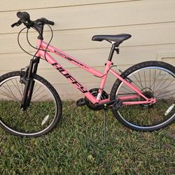 Mountain Bike - New