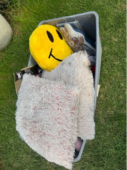 Free pillows and plushies