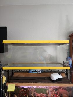 20L reptile enclosure