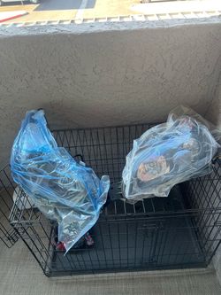 Subaru Outback Head lights