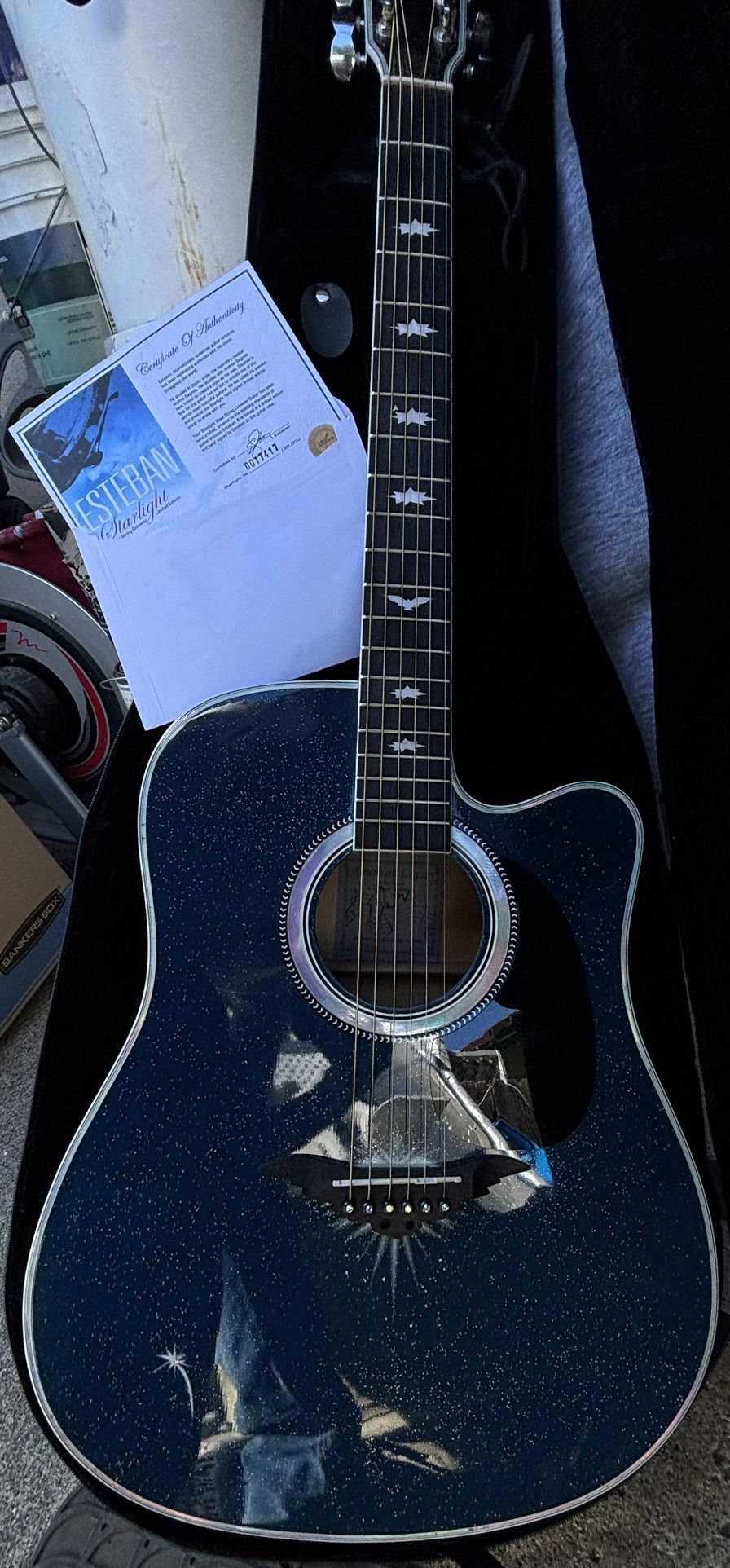 Acoustic and electrical guitar
