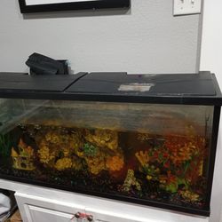 Big Fish Tank With Tons Of Accessories 