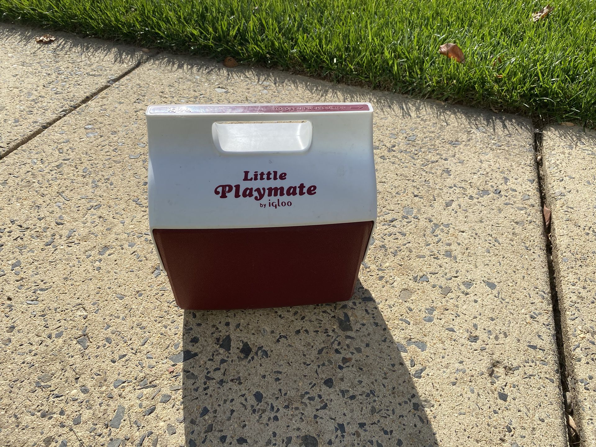 Igloo Playmate Cooler