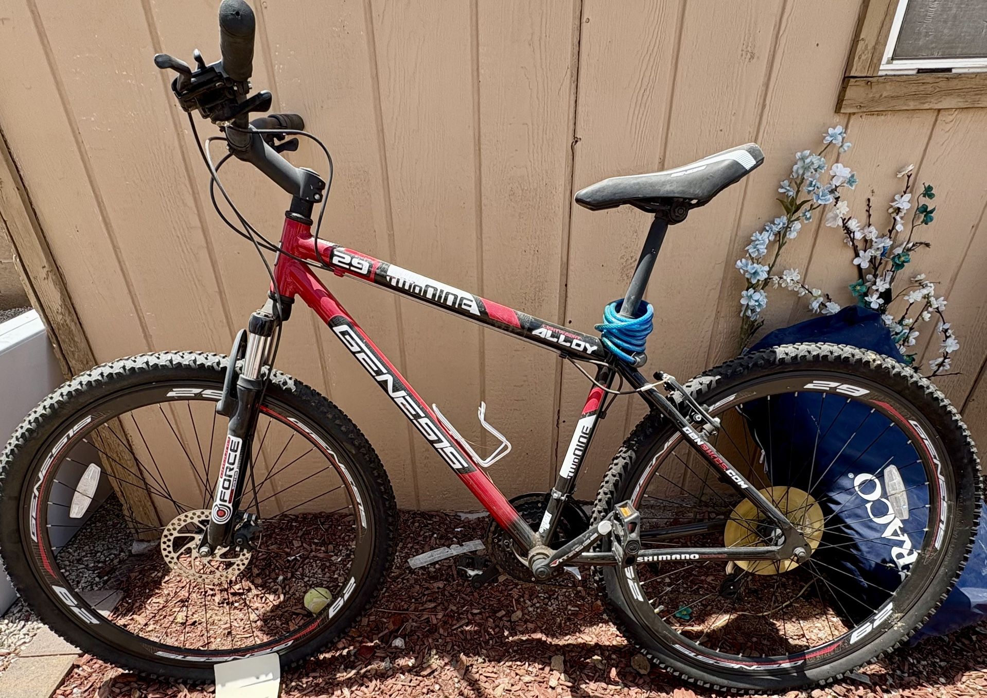 Mountain Bike