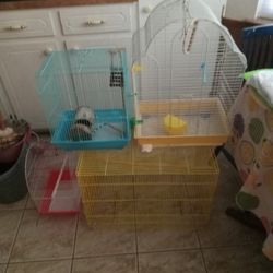 Bird Cages 4