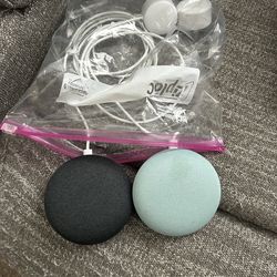 2 Google Nest Minis