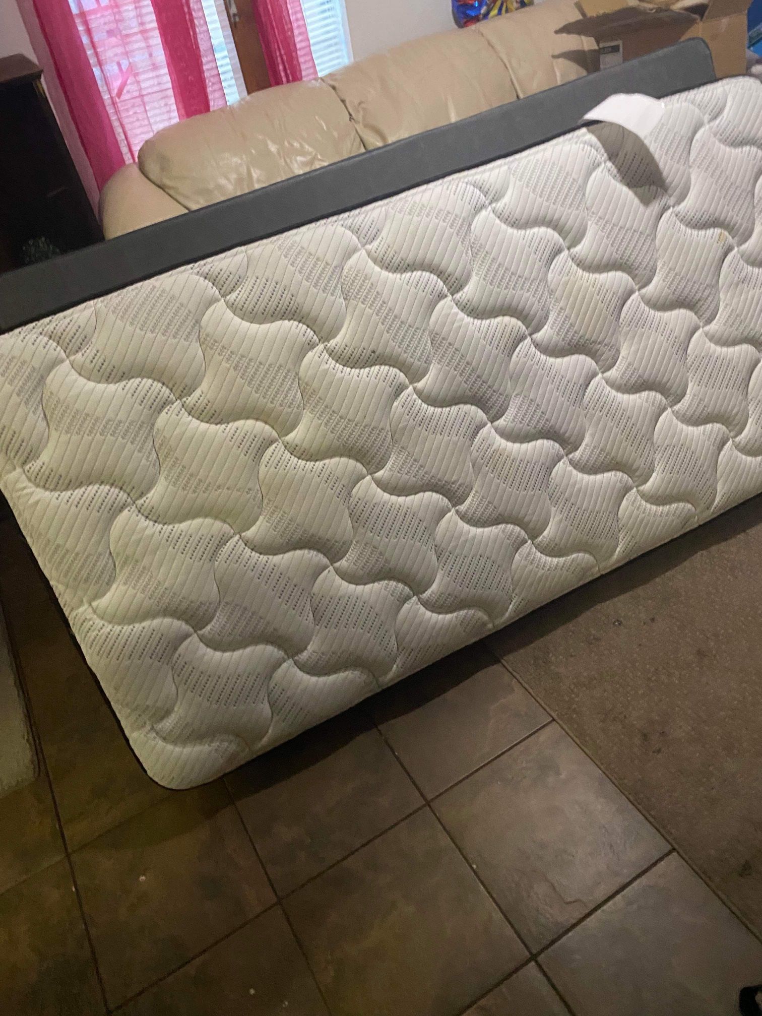 twin Mattress and box spring