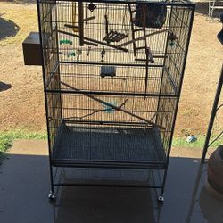 Bird cage 