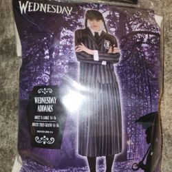 Brand New Halloween Adult Women Addams Family Nevermore Uniform Costume n' wig  Wednesday (Size Xl 14 - 16)