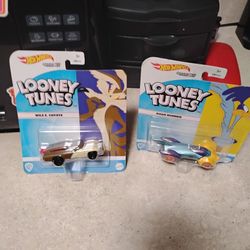 2 Hot Wheels Looney Tunes Car