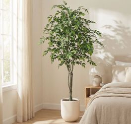 Faux 6.5' Ficus Tree