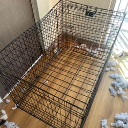 Cage