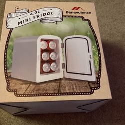 Mini Fridge