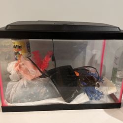 Fish Tank And Food And Accessories 