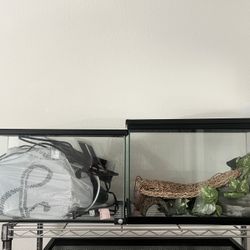 Reptile Tanks