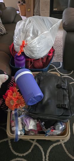 FREE SCOOTER AND 2 TOTES
