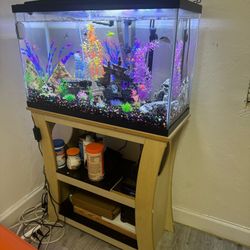 Aquarium For Sale 