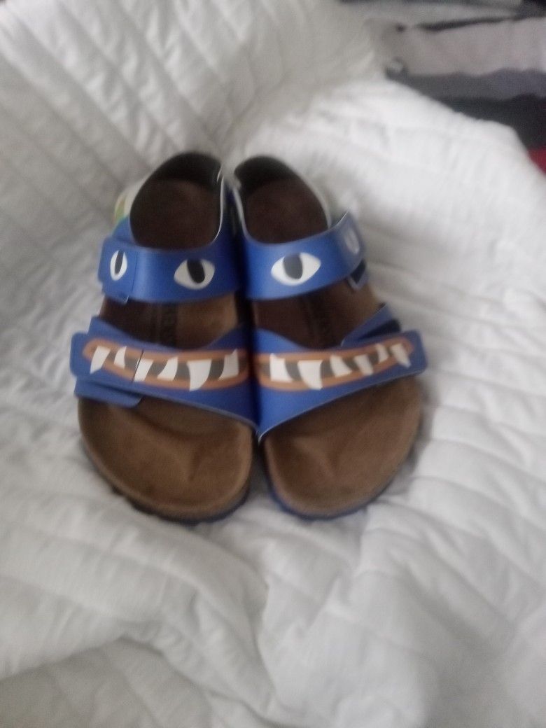 Birkenstocks Sz 3.5