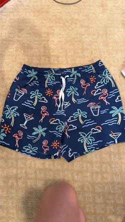 Chubbies-Med-5.5 inseam