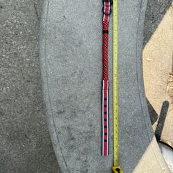 23 Inch Dog Collar