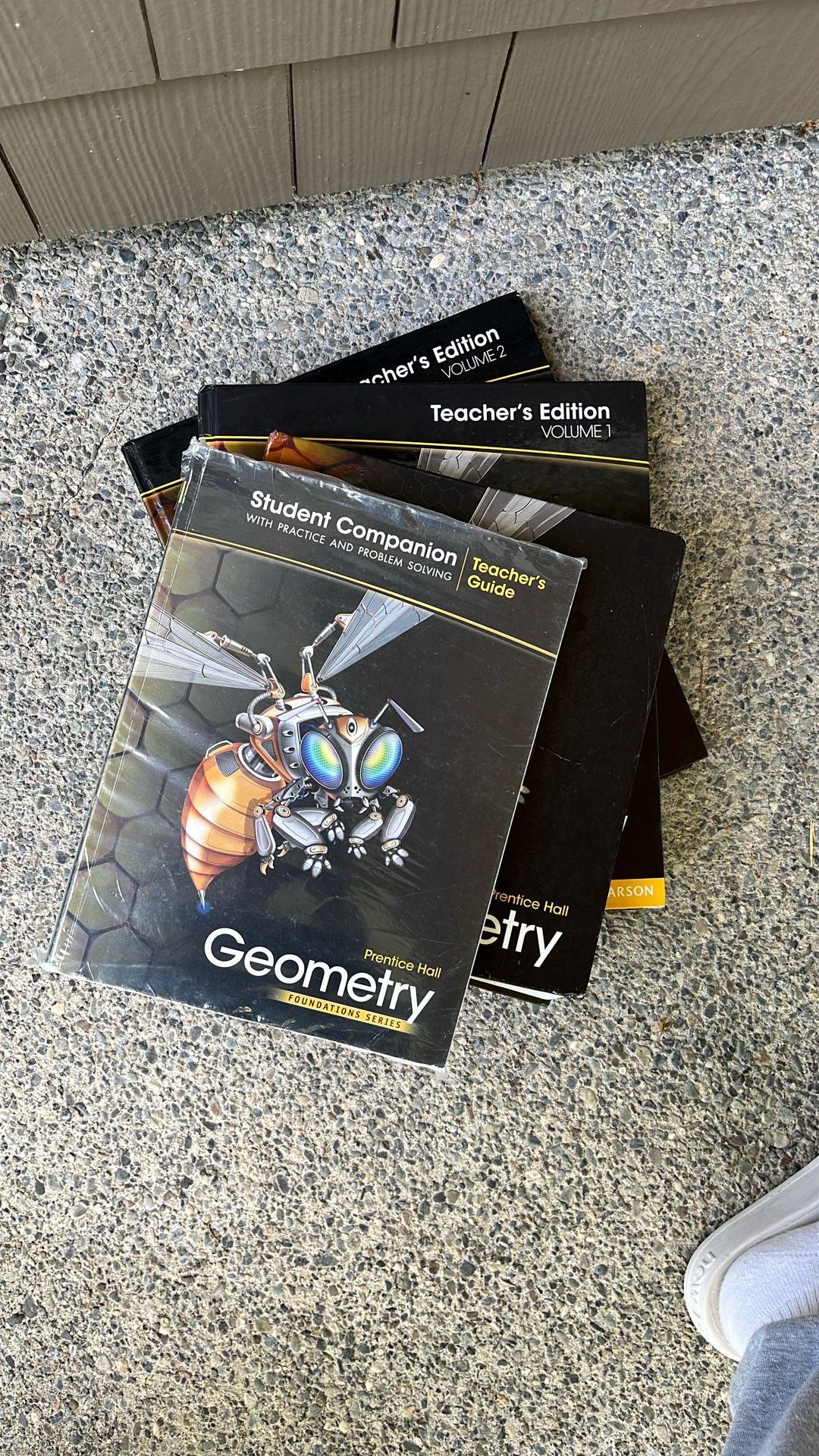 Geometry Books - Great For Summer School