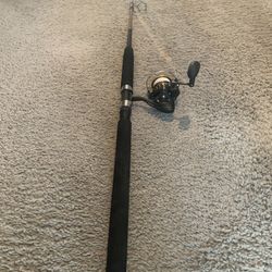 Diawa BG 4500 Spinning Reel And Ugly stick Fire tiger