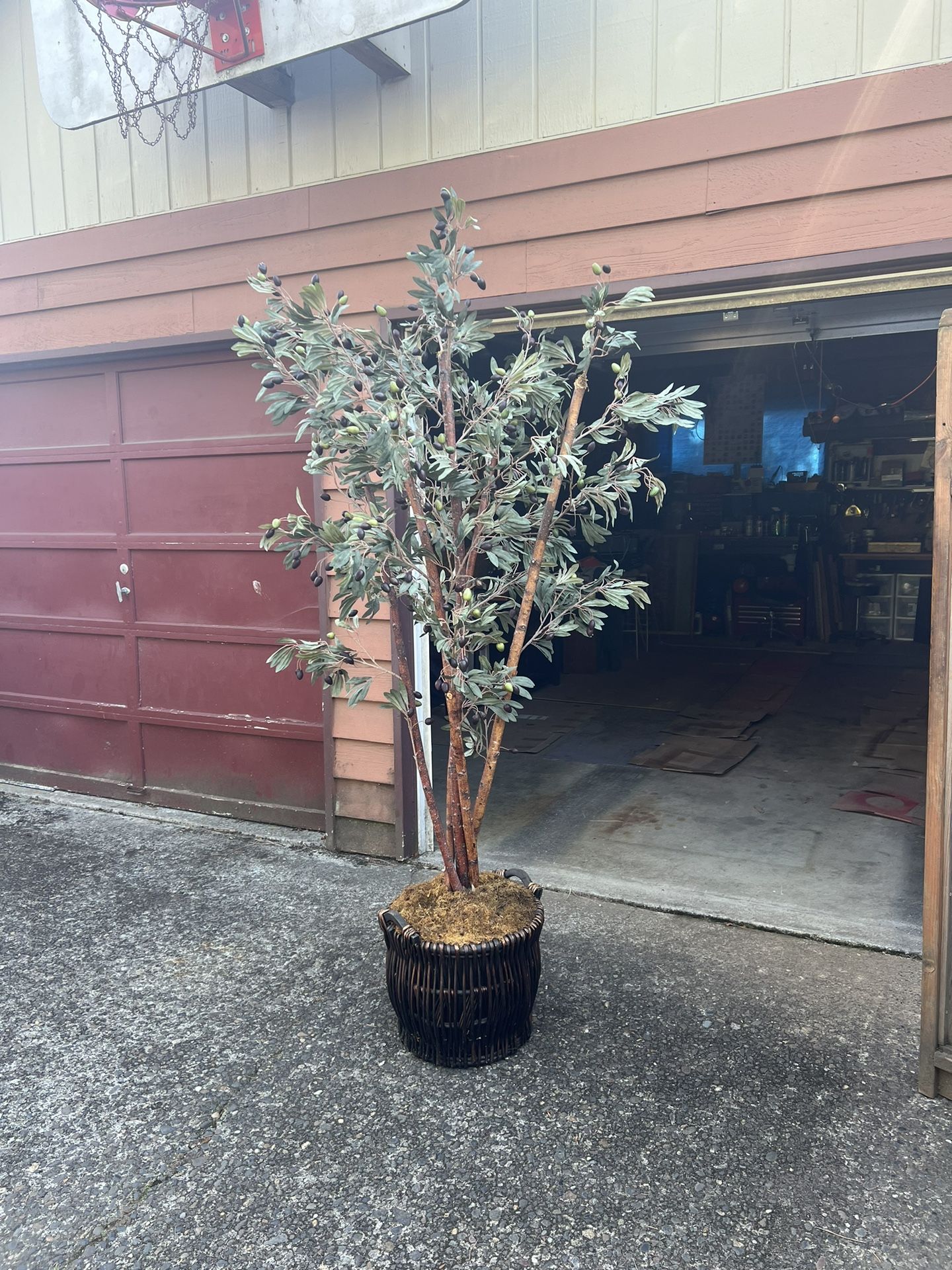 7’ Artificial Olive Tree w/Rattan Basket