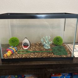 10 gallon fish tank