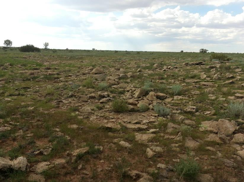 Chevelon Canyon Ranch property for sale or trade for Sale in Tolleson