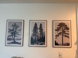 Set of 3 Framed Tree Nature Art Prints