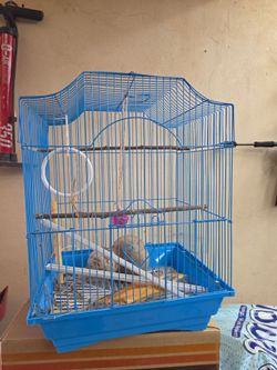 Small bird cage