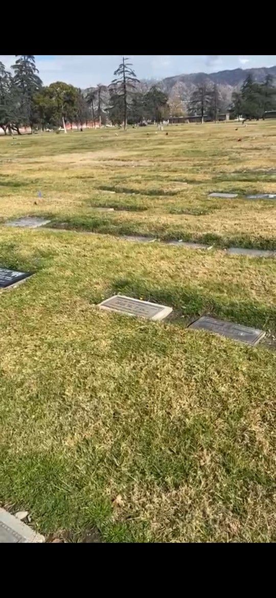 Pierce Brothers Valhalla Memorial Park Cemetery
